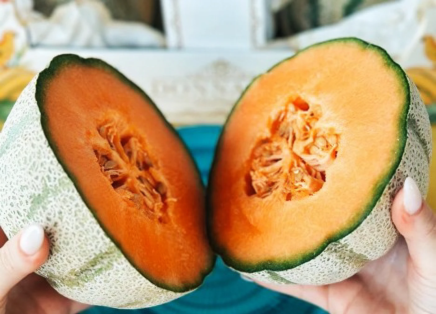 E’ arrivato il melone retato più precoce d’Europa